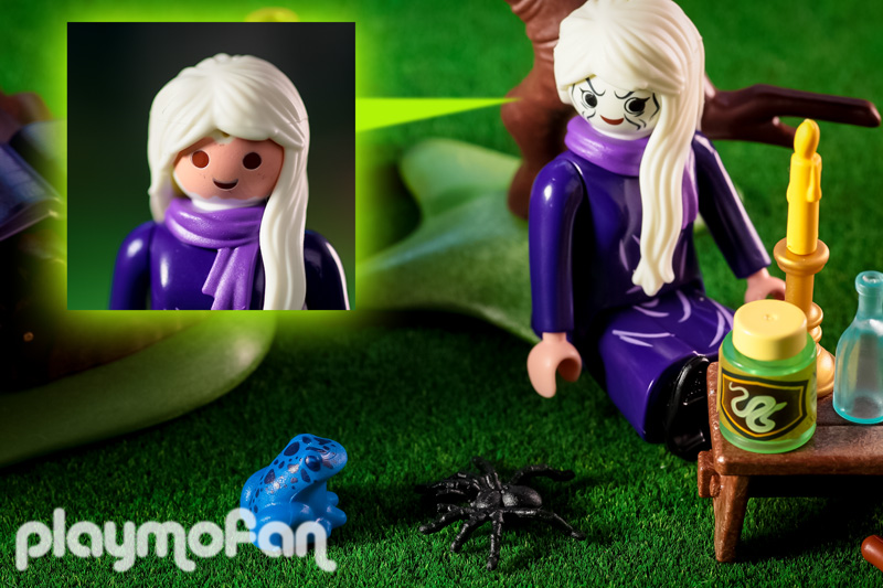 playmobil 70366 SCOOBY-DOO! Adventure in the Witch's Cauldron